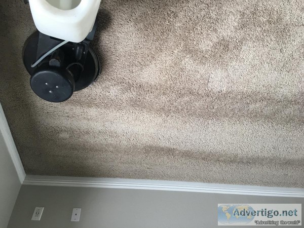Carpet Cleaning-Alfombra Limpieza