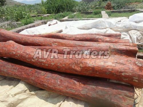 Red Sandalwood Logs Wholesale Suppliers