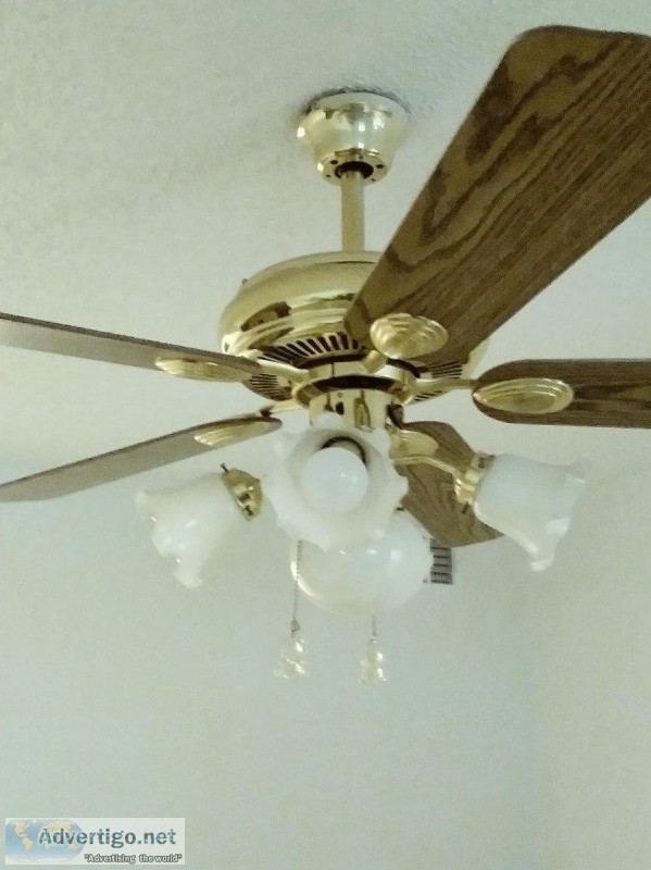 Ceiling fan