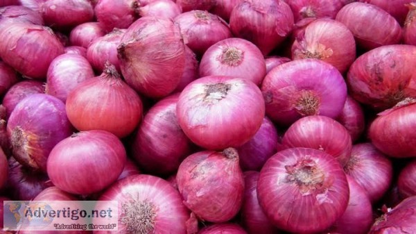 Wholesale rate sale in onion