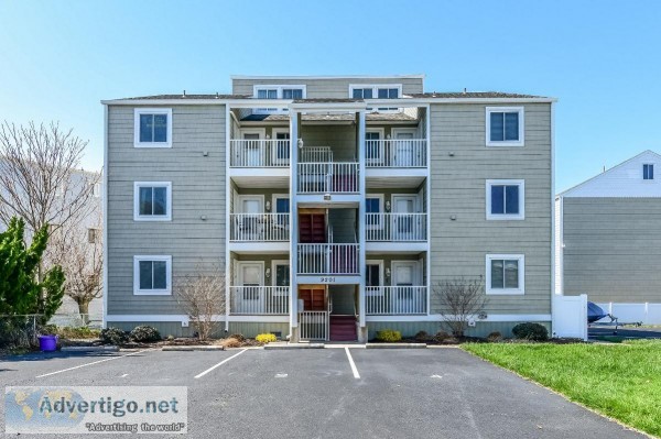 Ocean city maryland vacation rentals