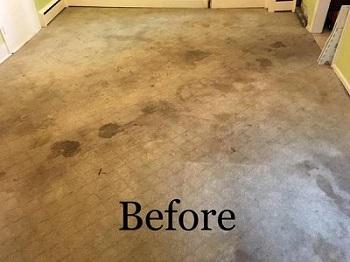 Carpet cleaning 20 years with satisfaction before leaving your d