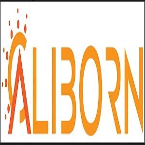 The CaliBorn Store