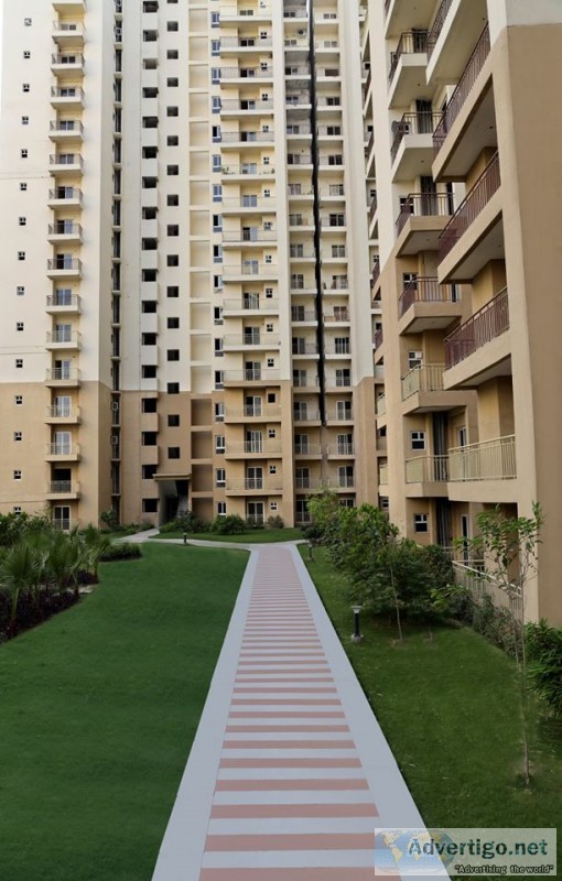 Buy 3 bhk in greater noida