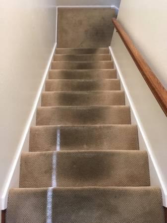 Carpet Cleaning 39Room - Steam CleanSpot Removal