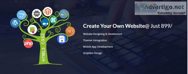 Website designing