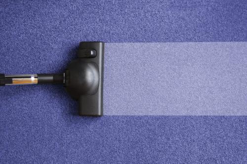 Looking for Carpet Cleaning Services in Vista