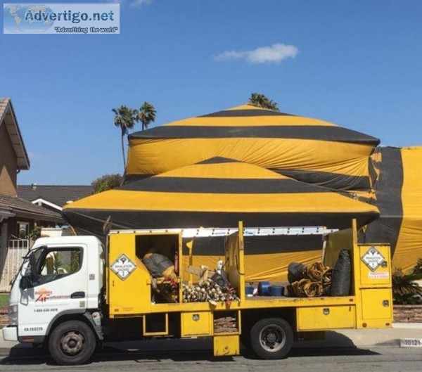 TERMITE FUMIGATION FREE ESTIMATES