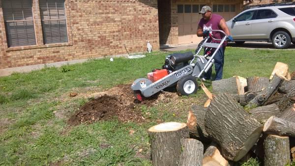 Most affordable stump grinding