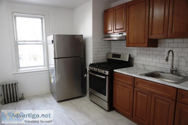 Totally Renovated 2 BR Apt. - Ditmas PK