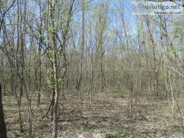 23.8 Acres of Prime recreational Land in Missouri