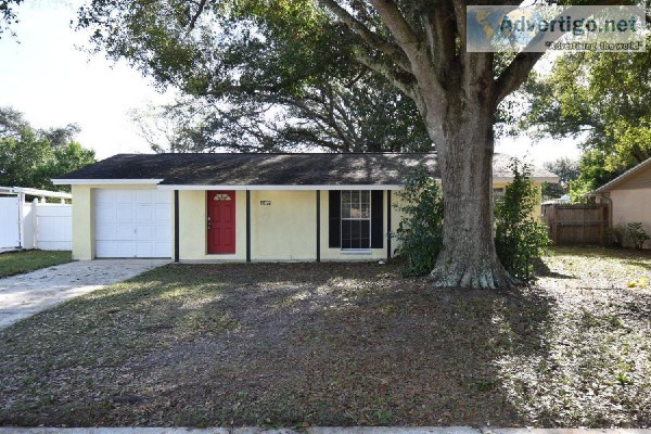 6419 Willow Wood Ct Tampa FL