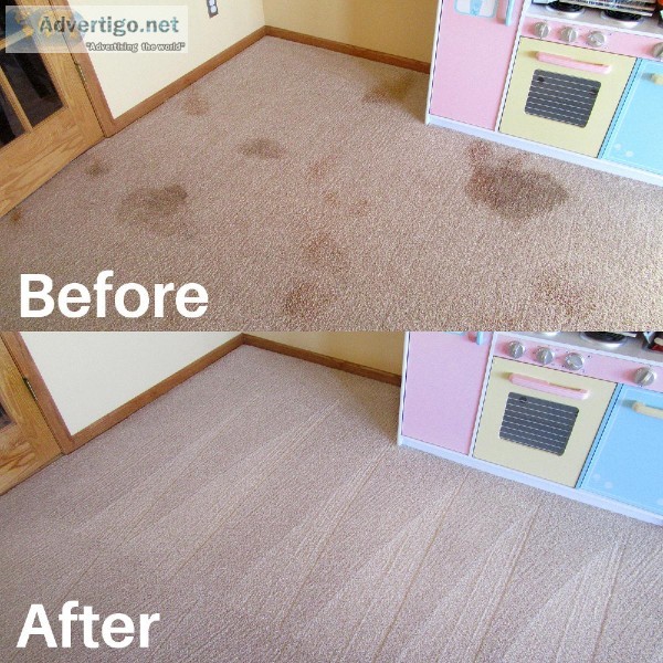 Carpet and Upholstery cleaning
