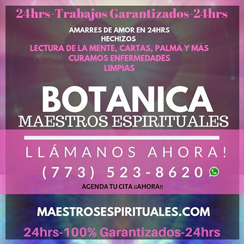 Botanicas cerca de Oswego IL