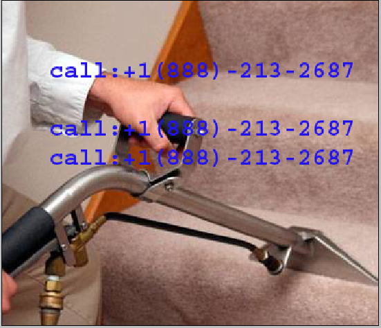 Quick Commercial Carpet Cleaning Services>