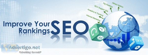 SEO Company In Rohtak