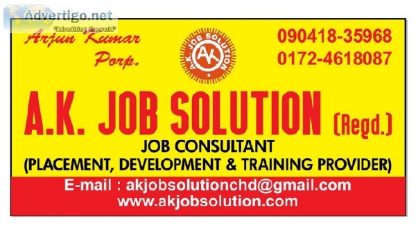 Required SEO Digital Marketing Executive Min 2-5 Years Exp. Moha