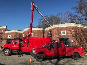 Stump Removal Greensboro