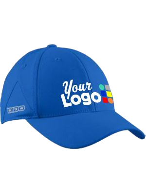 Stylish Logo caps