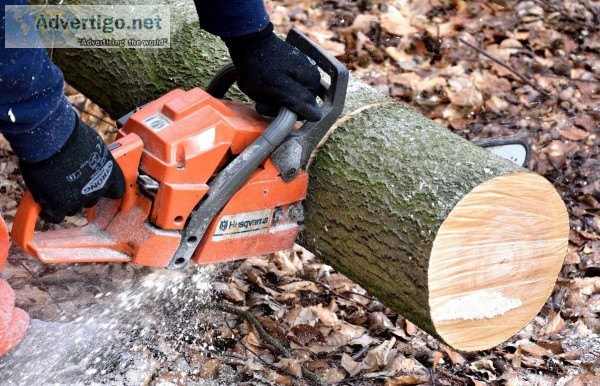 A Tree Removal Company You Can Trust