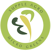 Microgreens | wholesale vegetables suppl