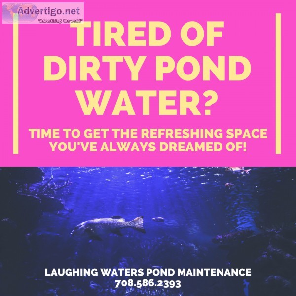 Tired Of Dirty Pond Water