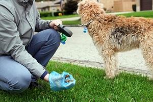 Pet Waste Disposal in Stone Mountain Services  Tri-Hunter Refuse
