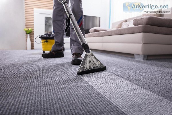 Same Day Carpet Cleaning Hobart