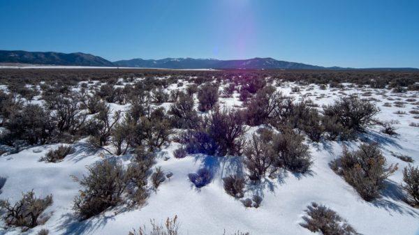 9 acres in Taos County New Mexico just south of CO border- beaut