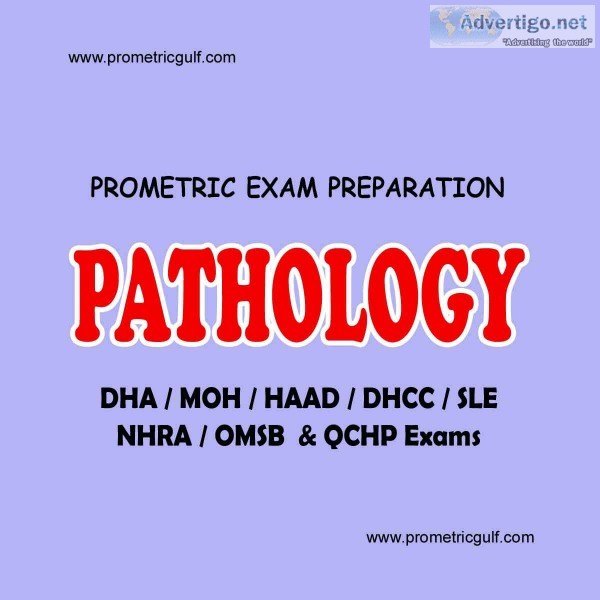 Qchp exam qatar mcq questions