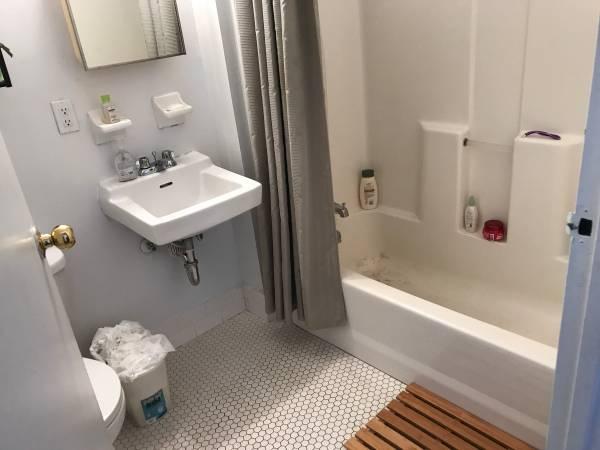 2br - NEW 2 BED on 4th FLOOR w ELEVATOR BACKYARD ACCESS NO FEE (