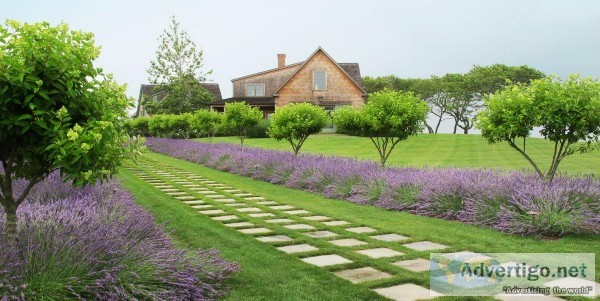 Lawn Care Fort Worth - Cody Landscape