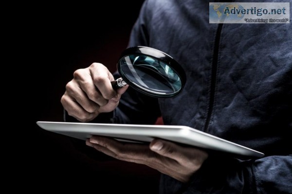 Background Check Services in Brampton  Leading Private Investiga