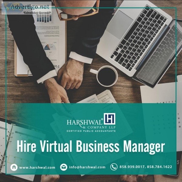 Hire a Professional Virtual Business Manager in USA &ndash Harsh