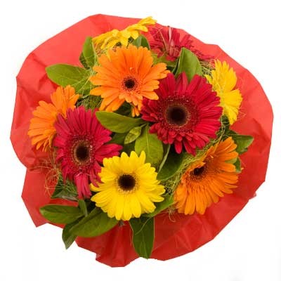 Online flower gifting portal