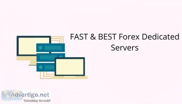 FAST and BEST Forex Dedicated Servers