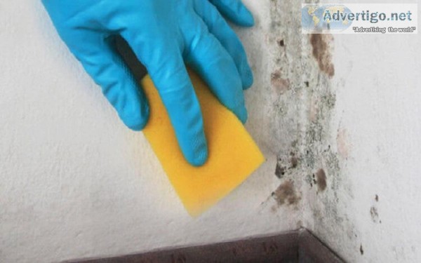 House Cleaning Mold Removal Company in Atlanta ServiceMaster by 