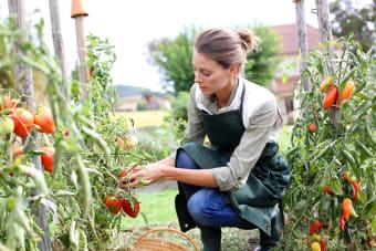 Landscaped Gardens That Will Make You Reconsider a Lawn- Scott s