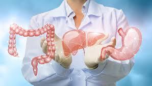 Gastroenterologist in Chennai