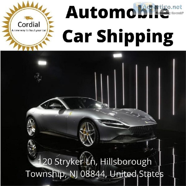 USA Car Hauling Service Nearby