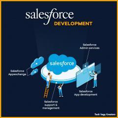 Salesforce Development Company In india