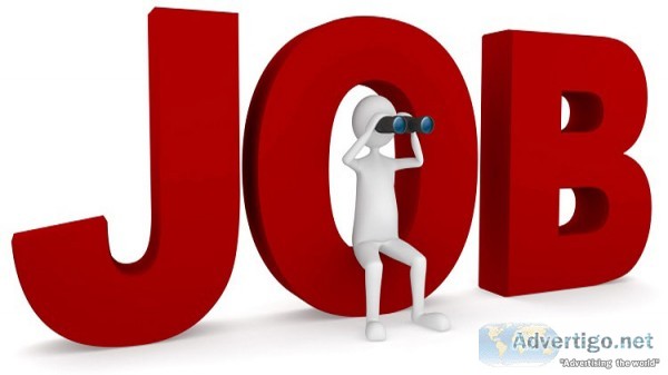 Job consultancy in udaipur | top placement agency in udaipur