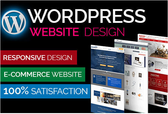 Professional wordpress website or web design