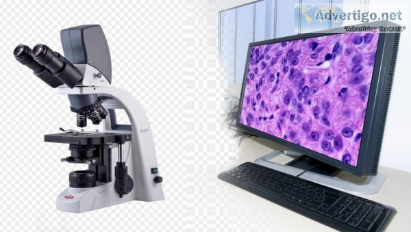 Virtual pathology slides