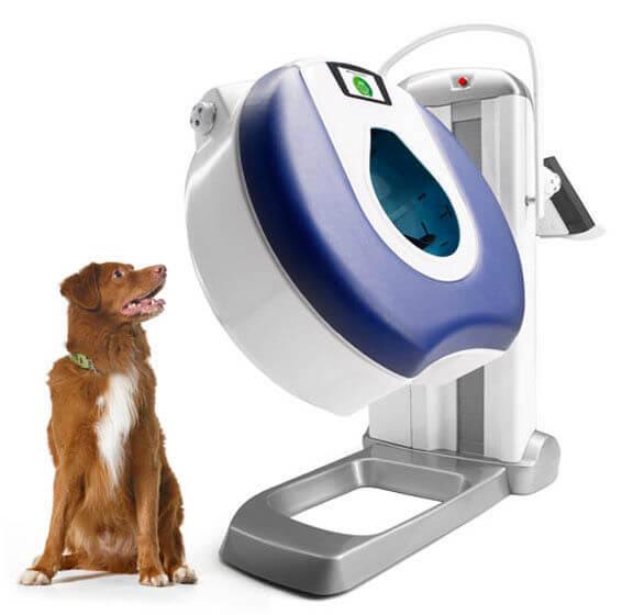 Small Animal Radiology Equipment