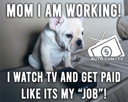 Get paid to watch tv no joke you enjoy premium tv and get paid f