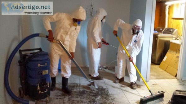 Basement Water Damage Restoration  floodedbasementclean up.ca