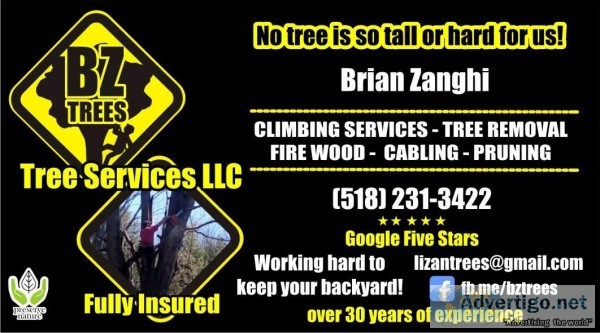 BZ Trees Service ESSENTIAL TO KEEP YOUR HOME SAFE