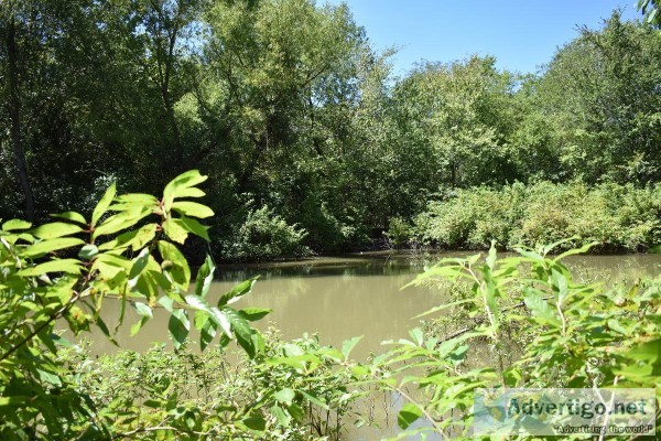 Texas Hunting and Recreational Land Auction