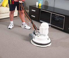 Best Carpet Cleaning Tarneit